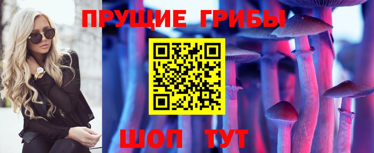 Псилоцибиновые грибы прущие грибы  Вход с VPN  Псилоцибиновые грибы прущие грибы  Ирбит 